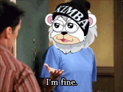 Kimba Crypto GIF
