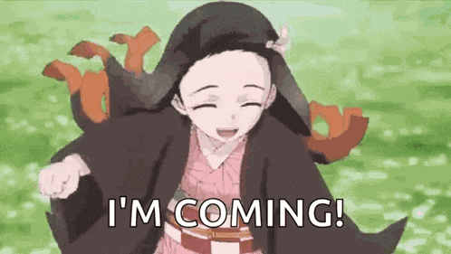 Kimetsu No Yaiba Demon Slayer GIF