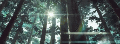 Kiminonawa Your Name GIF