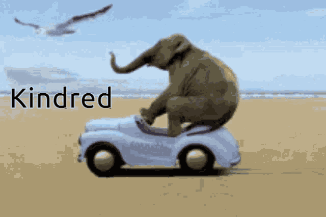Kindred GIF