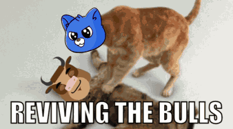 Kira Kiraoninj GIF