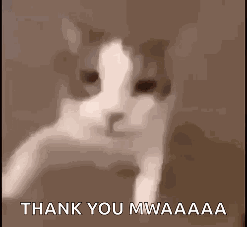Kiss Kitty GIF