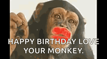 Kiss Monkey GIF