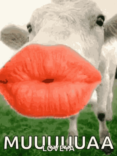 Big Kiss GIFs