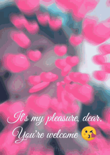 Kisses Welcome GIF