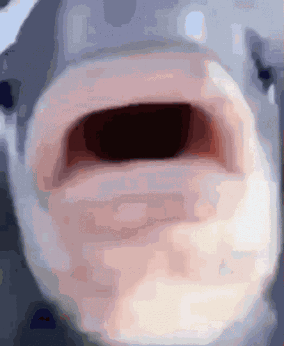 Kissfish GIF