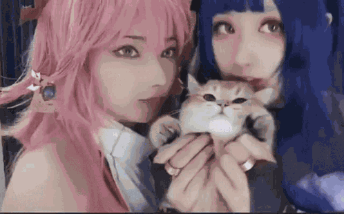 Kissing Cat Cosplay GIF