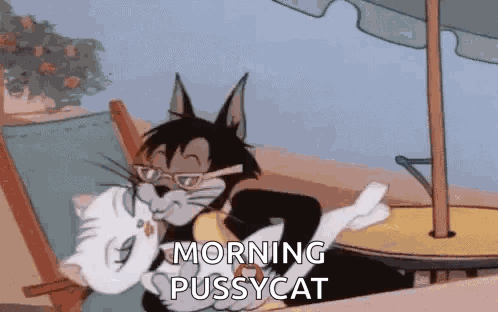 Kissing Cats GIF