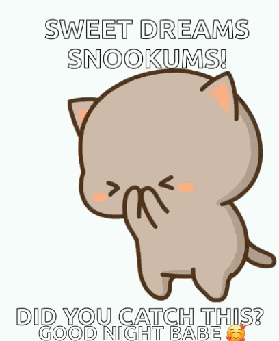 Kitten Love GIF