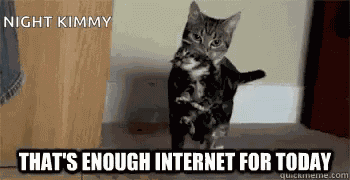 Kitten Mother GIF