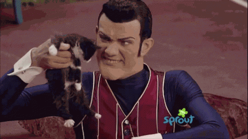 Kitten Robbie Rotten GIF