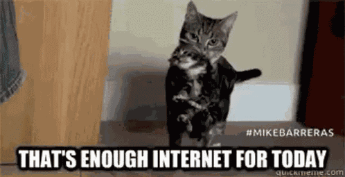 Kitten Thats Enough Internet GIF