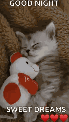 Kittensleep Cute GIF