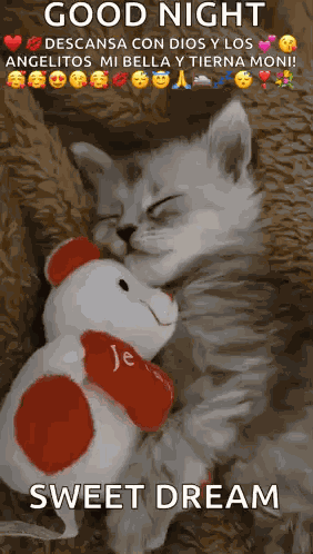 Kittensleep Cute GIF