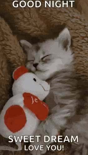 Kittensleep Cute GIF