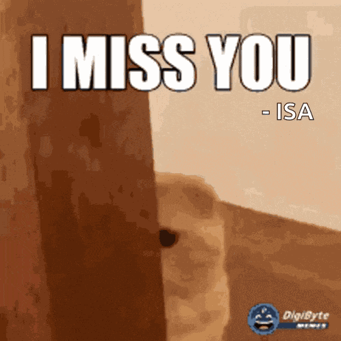 Kitties Miss You GIF