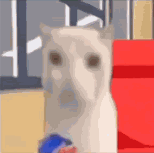 Kitty Chips GIF