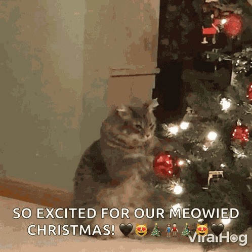 Kitty Claws Christmas Tree Cat Playing With Christmas Tree GIF