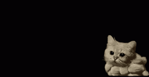 Kitty Cloud Kitty GIF