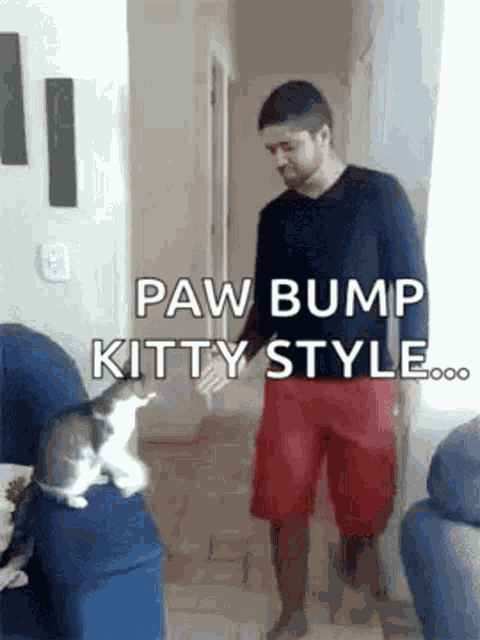 Kitty Gif Kitty Fist Bump GIF