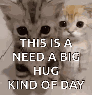 Kitty Hug Kitty Ai GIF