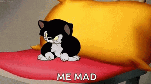 Kitty Kitten GIF