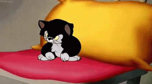 Kitty Kitten GIF