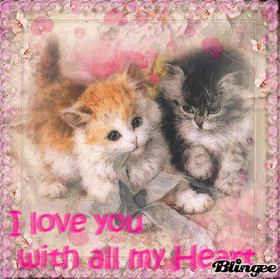 Kitty Love You GIF