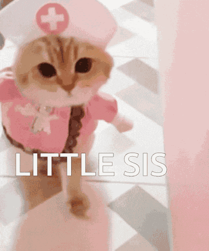 Kitty Nurse GIF