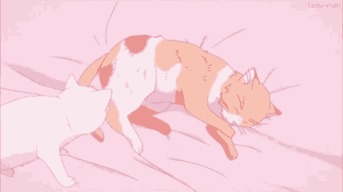 Kitty Snuggles GIF