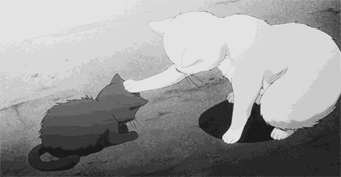 Kitty'S GIF