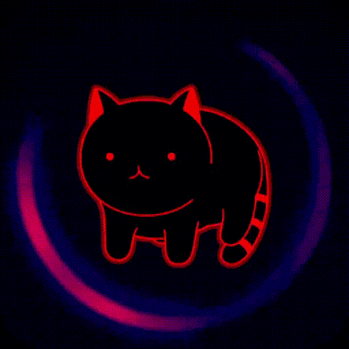 Kittyspin Ks GIF
