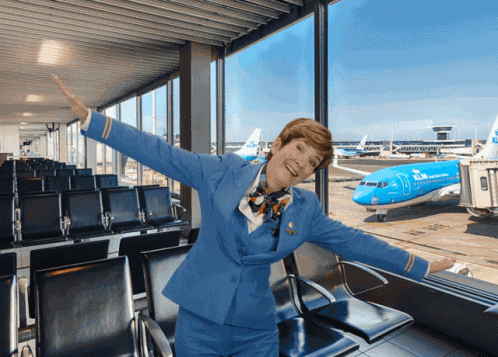 Klm Aviation GIF