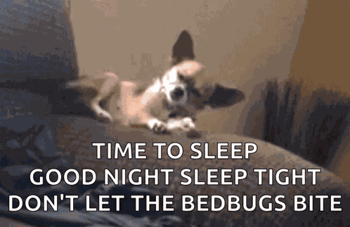 Knjlovs Dog GIF