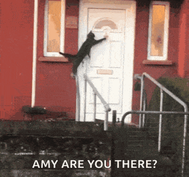Knock Knock Cat Knock Door GIF