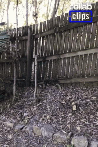 Knocked Slammed Onto The Fence GIF