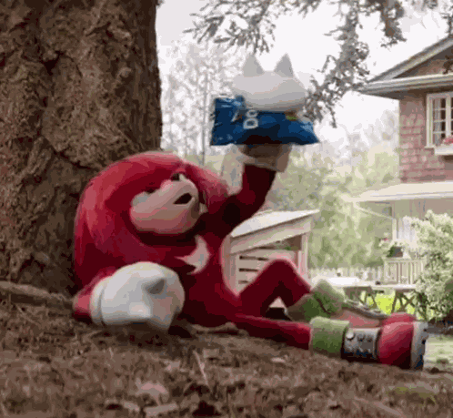 Knuckles Knuckles The Echidna GIF
