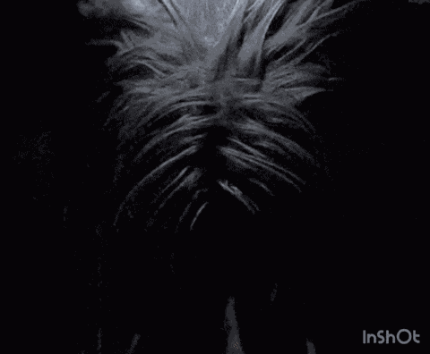 Knull Knullspace GIF