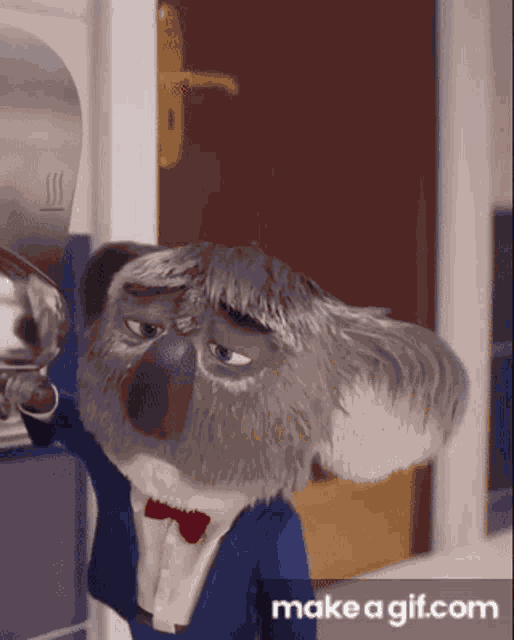 Koala Dryer GIF