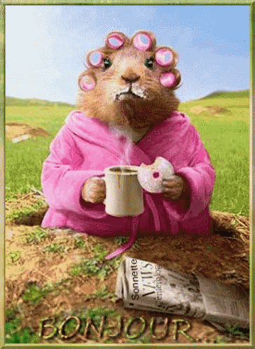 Koffie Coffee GIF