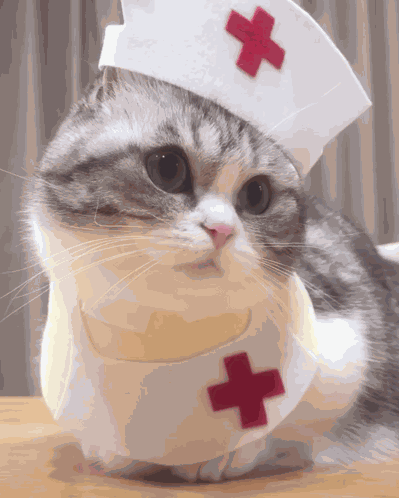 Komaru Doctor GIF