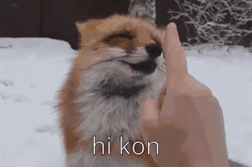 Kon Hi GIF