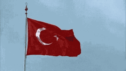 Korkusuzpalaburhan Flag GIF