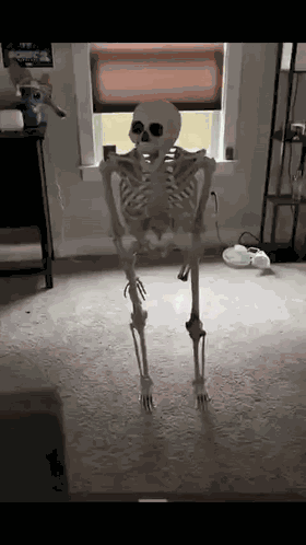 Kostik GIF