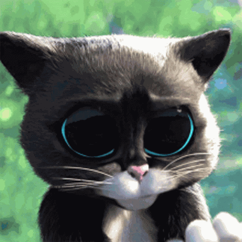 Kouni GIF