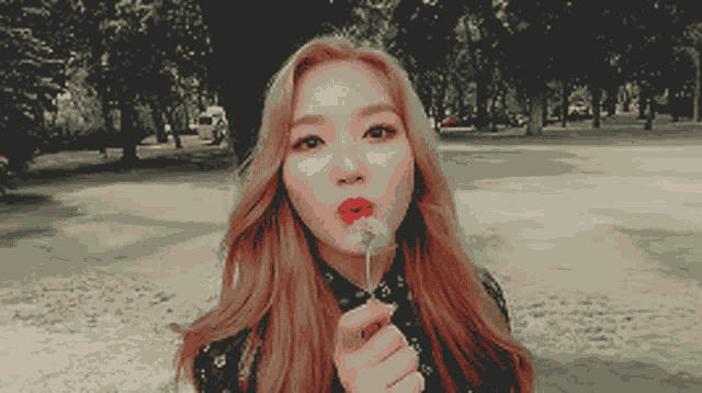 Kpop Girl Group GIF