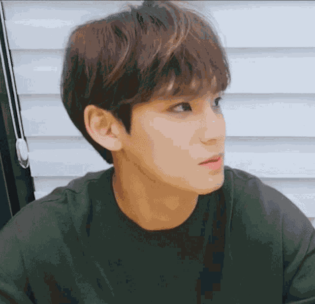 Kpop Seventeen GIF