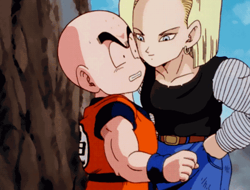 Krillin Android 18 GIF