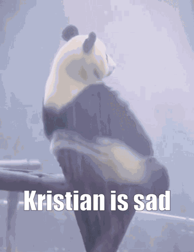 Kristian Sad GIF