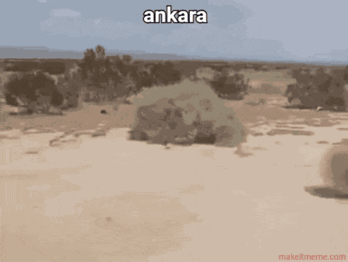 Ktg Ankara GIF